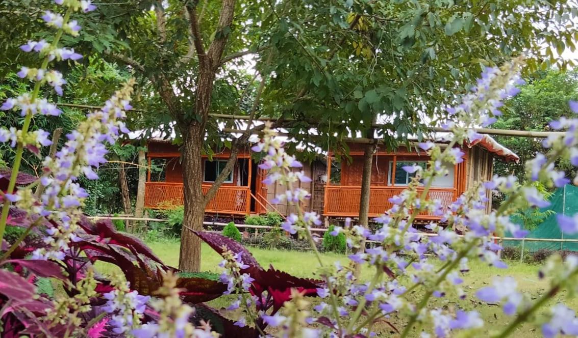 Tiger'S Wood Glamping & Eco-Retreat Ξενοδοχείο Kāziranga Εξωτερικό φωτογραφία