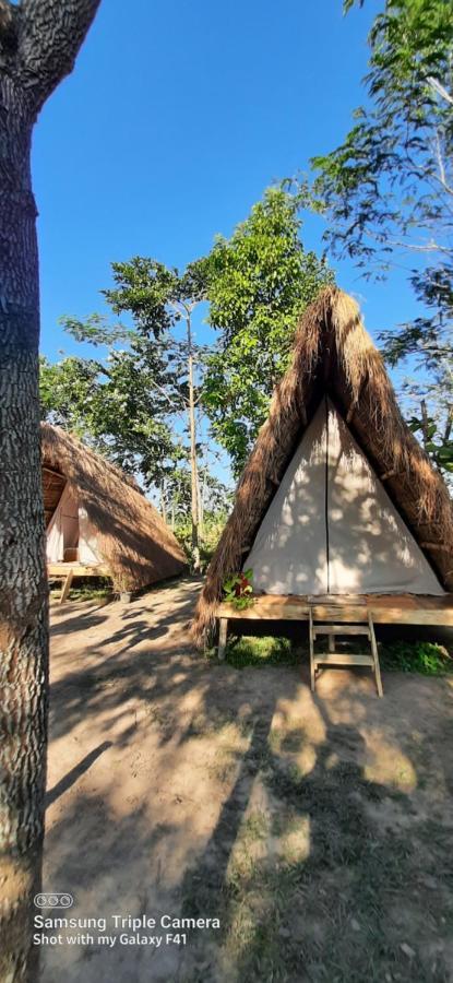 Tiger'S Wood Glamping & Eco-Retreat Ξενοδοχείο Kāziranga Εξωτερικό φωτογραφία